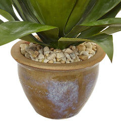 Agave in Glazed Clay Pot - Ornate Home
