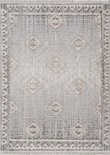Agoo High-Low Pile Rustic Rug - Ornate Home