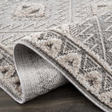 Agoo High-Low Pile Rustic Rug - Ornate Home