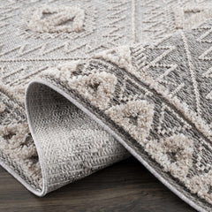 Agoo High-Low Pile Rustic Rug - Ornate Home