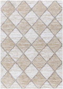 Aideen Cream Shag Area Rug - Clearance - Ornate Home