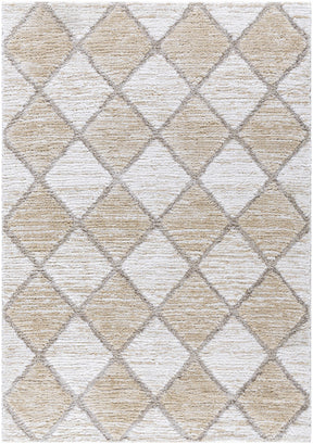 Aideen Cream Shag Area Rug - Clearance - Ornate Home