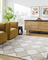 Aideen Cream Shag Area Rug - Clearance - Ornate Home