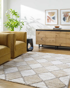 Aideen Cream Shag Area Rug - Clearance - Ornate Home