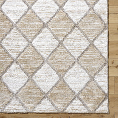 Aideen Cream Shag Area Rug - Clearance - Ornate Home