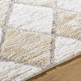 Aideen Cream Shag Area Rug - Clearance - Ornate Home