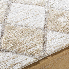 Aideen Cream Shag Area Rug - Clearance - Ornate Home