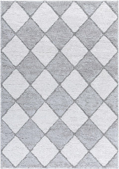 Aideen Gray Shag Area Rug - Clearance - Ornate Home