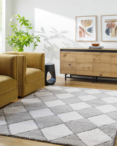 Aideen Gray Shag Area Rug - Clearance - Ornate Home