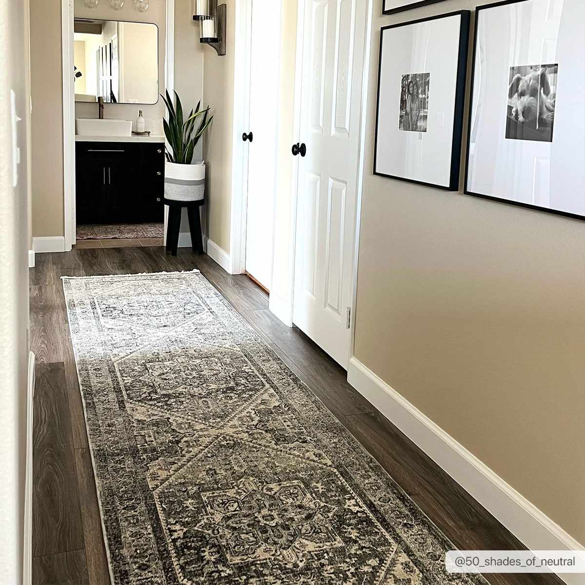 Ailsa Area Rug - Clearance - Ornate Home