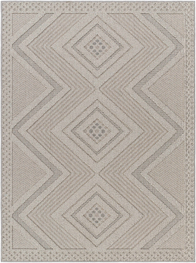 Aimee Natural Gray Outdoor Area Rug - Clearance - Ornate Home