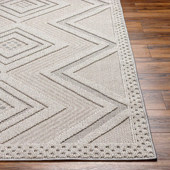Aimee Natural Gray Outdoor Area Rug - Clearance - Ornate Home