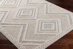Aimee Natural Gray Outdoor Area Rug - Clearance - Ornate Home