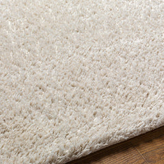 Ajeya Area Rug - Ornate Home