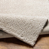 Ajeya Area Rug - Ornate Home