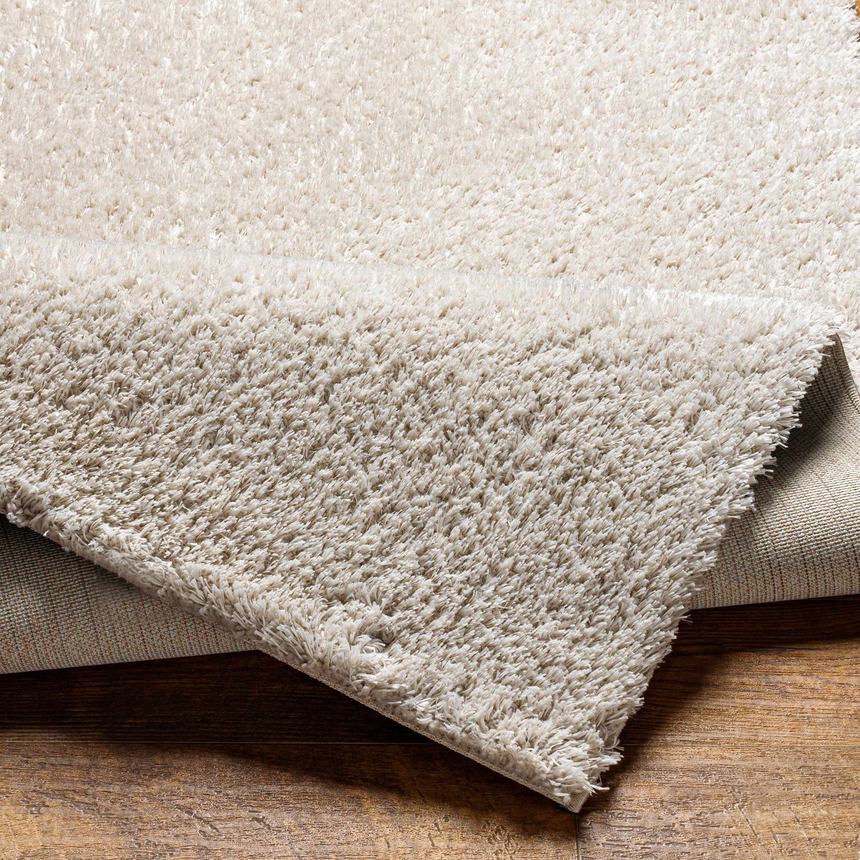 Ajeya Area Rug - Ornate Home