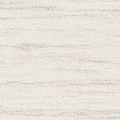 Ajeya Area Rug - Ornate Home