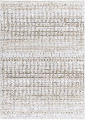 Akande Shag Area Rug - Clearance - Ornate Home