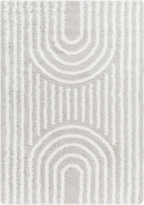 Akela Shag Area Rug - Clearance - Ornate Home