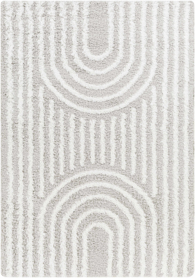 Akela Shag Area Rug - Clearance - Ornate Home