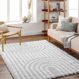 Akela Shag Area Rug - Clearance - Ornate Home