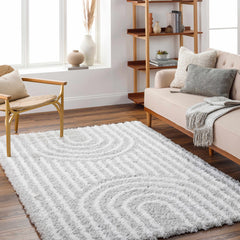 Akela Shag Area Rug - Clearance - Ornate Home