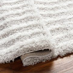 Akela Shag Area Rug - Clearance - Ornate Home