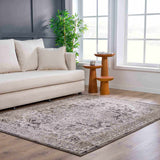 Albie Charcoal & Beige Area Rug - Clearance - Ornate Home