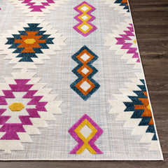 Alburg Southwestern Magenta Outdoor Carpet - Clearance - Ornate Home