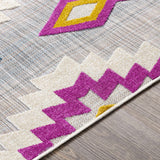 Alburg Southwestern Magenta Outdoor Carpet - Clearance - Ornate Home