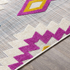 Alburg Southwestern Magenta Outdoor Carpet - Clearance - Ornate Home