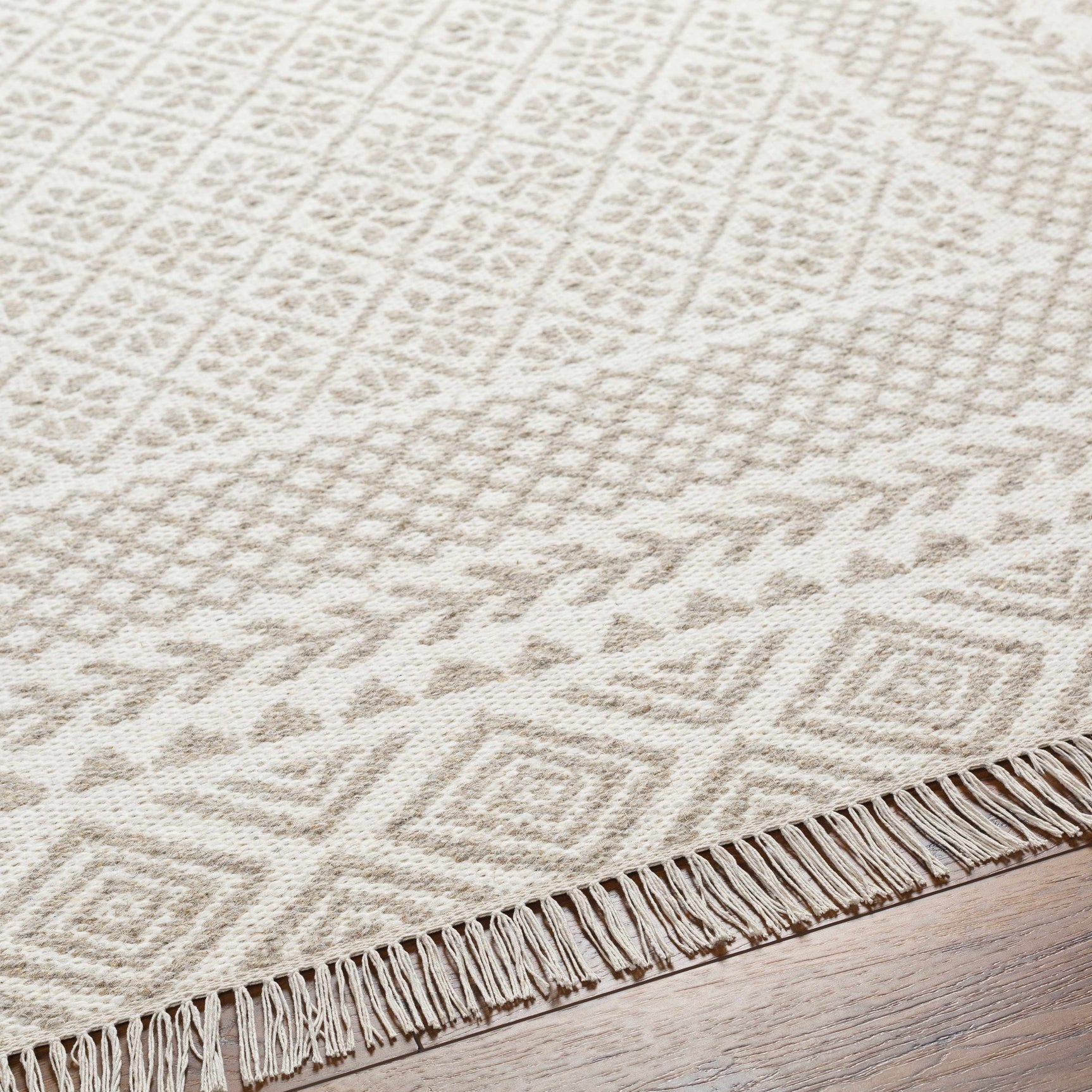 Albus Area Rug - Clearance - Ornate Home