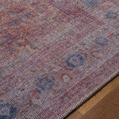 Alcoy Washable Area Rug - Clearance - Ornate Home