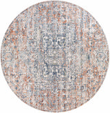 Alderton Area Rug - Clearance - Ornate Home