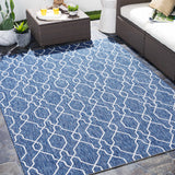 Aldford Outdoor Area Rug - Clearance - Ornate Home