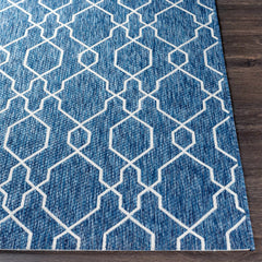 Aldford Outdoor Area Rug - Clearance - Ornate Home