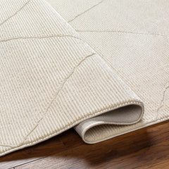Aldis Cream Plush Textured Washable Rug - Ornate Home