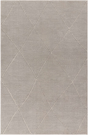 Aldis Grey Plush Textured Washable Rug - Clearance - Ornate Home