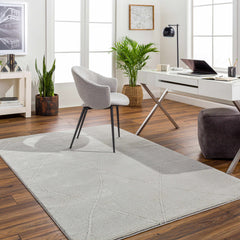 Aldis Grey Plush Textured Washable Rug - Clearance - Ornate Home