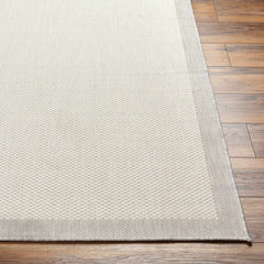 Aleid Cream Outdoor Area Rug - Clearance - Ornate Home