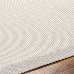 Aleid Cream Outdoor Area Rug - Clearance - Ornate Home