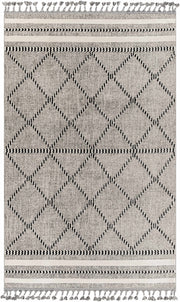 Alev Area Rug - Clearance - Ornate Home