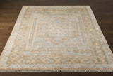 Aliang Premium Rug - Clearance - Ornate Home