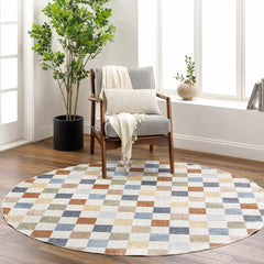 Alie Colorful Checkered Washable Rug - Ornate Home