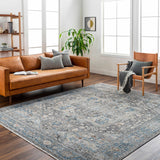 Alina Area Rug - Clearance - Ornate Home