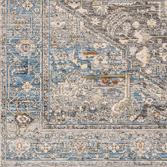 Alina Area Rug - Clearance - Ornate Home
