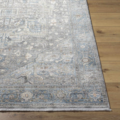 Alina Area Rug - Clearance - Ornate Home
