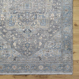 Alina Area Rug - Clearance - Ornate Home