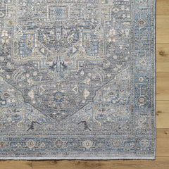 Alina Area Rug - Clearance - Ornate Home