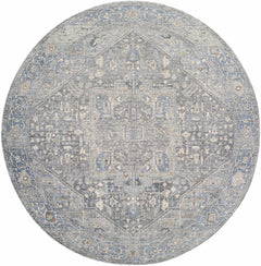Alina Area Rug - Clearance - Ornate Home